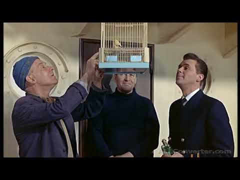 Doctor At Sea (Dirk Bogarde) (1955)